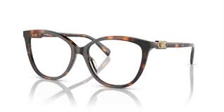 Michael Kors MK 4109U Acetate Frame For Women