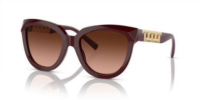 Tiffany & Co TF 4215 Acetate Sunglasses for Women