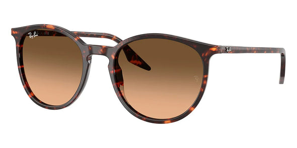 Ray Ban RB 2204 Acetate Sunglasses