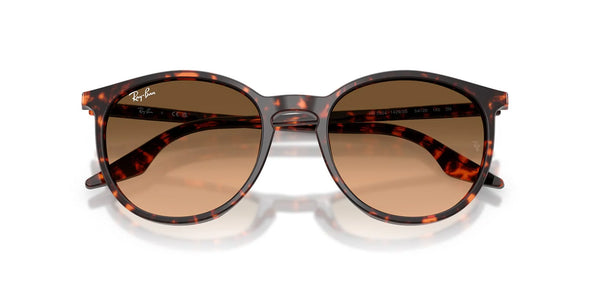 Ray Ban RB 2204 Acetate Sunglasses