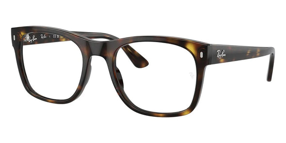 Ray Ban RB 7228 Acetate Frame Unisex