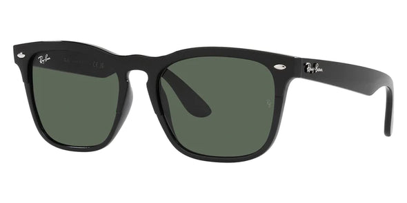 Ray Ban RB 4487 Acetate Sunglasses