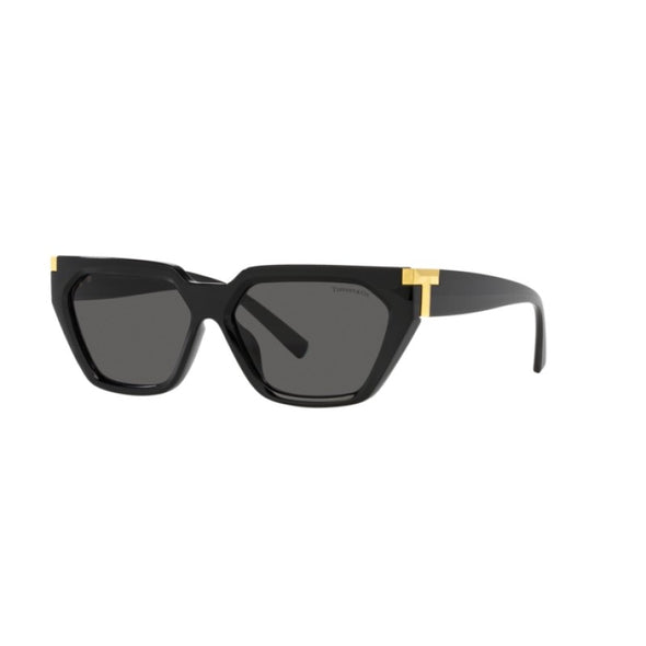 Tiffany & Co TF 4205-U Sunglasses for Women