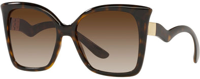 Dolce & Gabbana 0DG6168 Acetate Sunglass