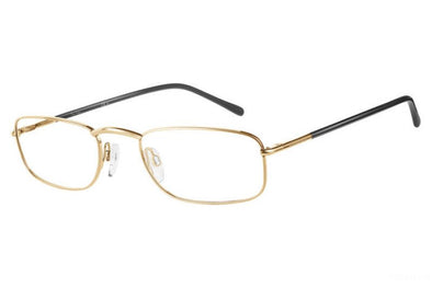 Pierre Cardin PC 6842 Metal  Frame