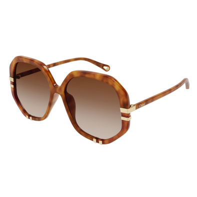 Chloe CH-0105S Acetate  Sunglass For Women