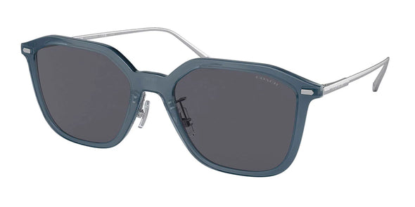 Coach HC 8355 Acetate Sunglasses
