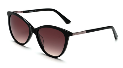 Calvin Klein CK 19576 Acetate Sunglass