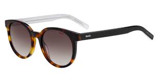 Hugo Boss HG1011/s Sunglasses