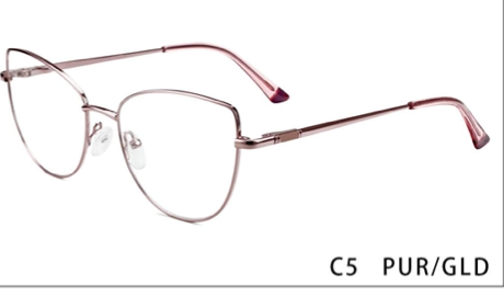 30th Feb Eyewear Metal Spectacle Frame 10071